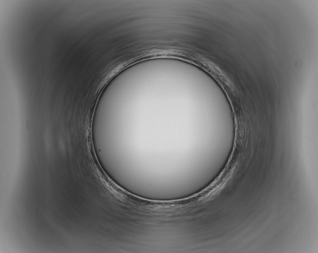 X0000116440985200912081349