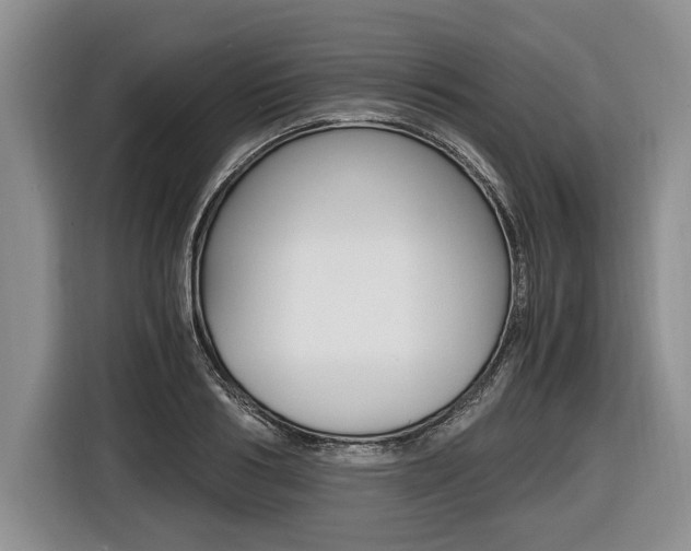 X0000116440986200912081349