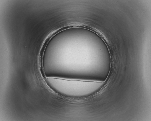 X0000116440987200912081349