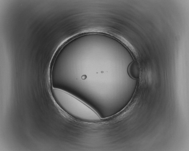 X0000116440988200912081349