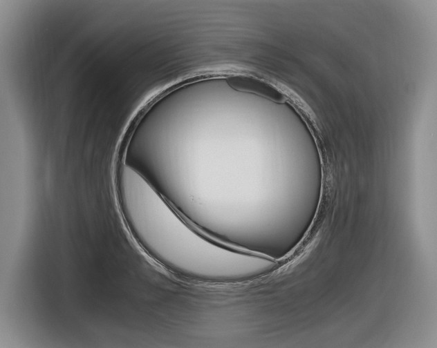 X0000116440989200912081349