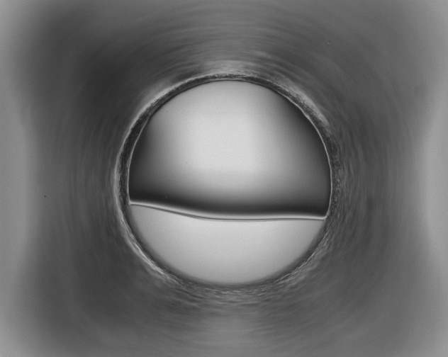 X0000116440991200912081349