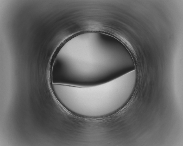 X0000116440992200912081349