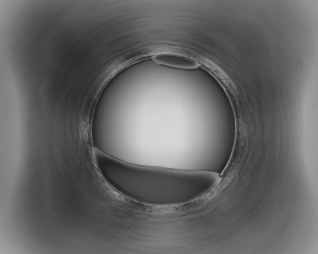 X0000116440993200912081349