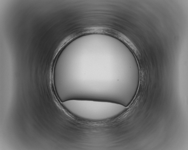 X0000116440994200912081349