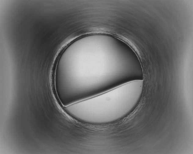 X0000116440995200912081349