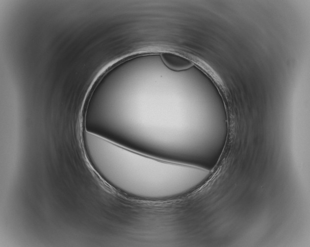 X0000116440996200912081349