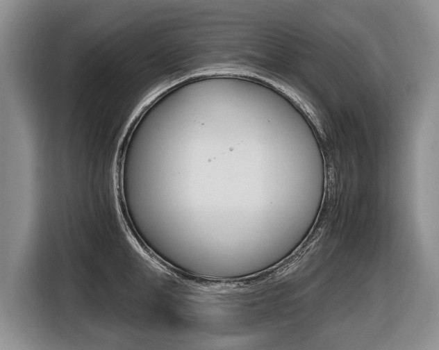 X0000116440998200912081349
