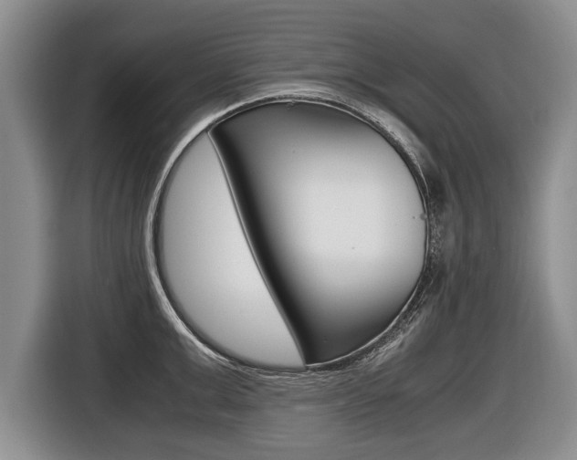 X0000116440999200912081349