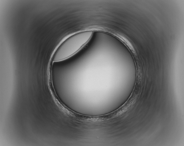 X0000116441000200912081349