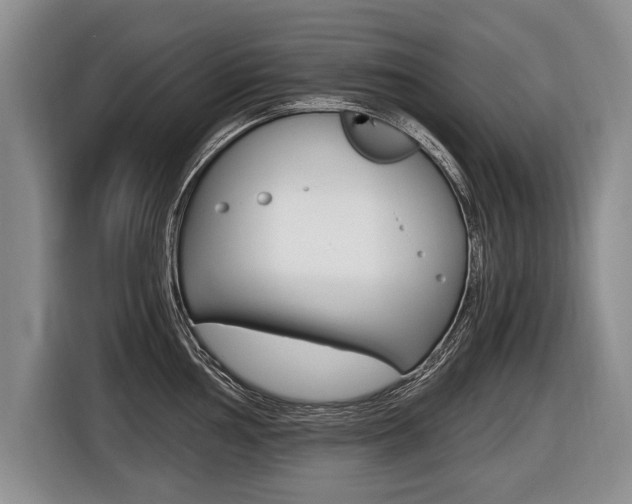 X0000116441002200912081349