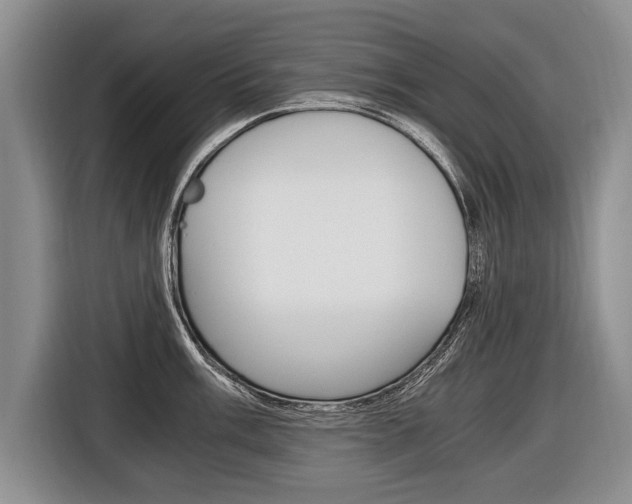 X0000116441003200912081349