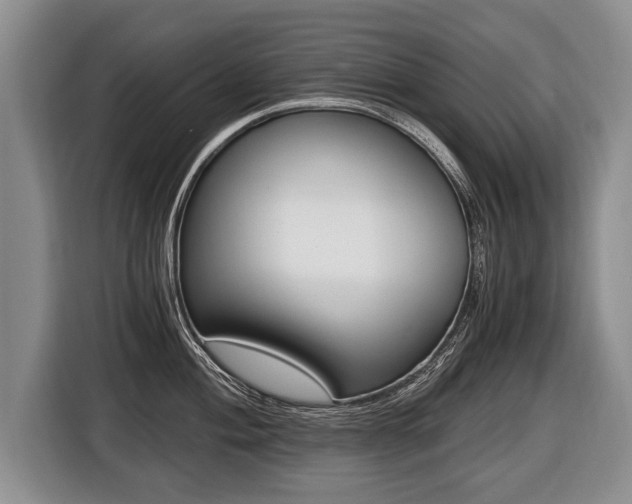 X0000116441004200912081349
