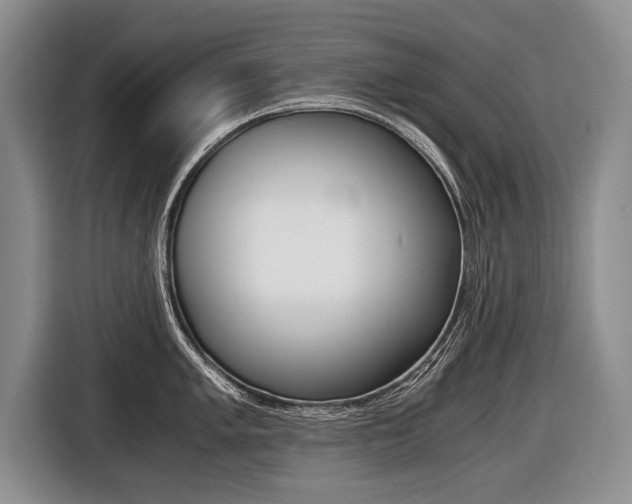 X0000116441005200912081349