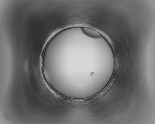 X0000116441006200912081349