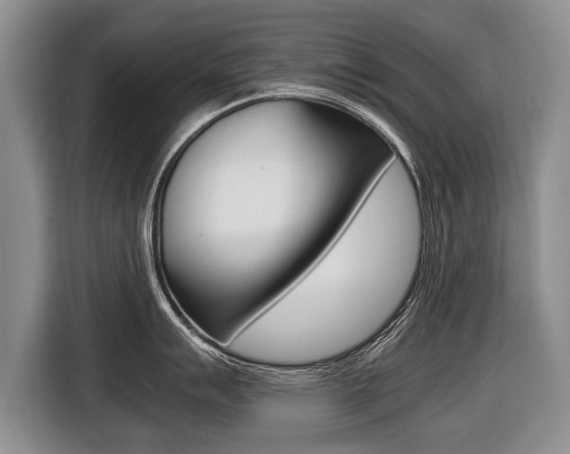 X0000116441007200912081349