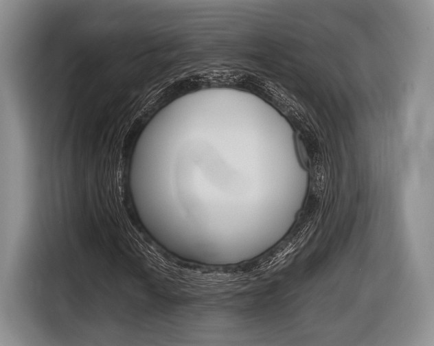 X0000116441010200912081348