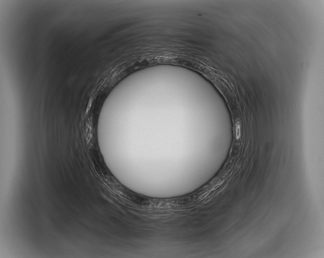 X0000116441011200912081348