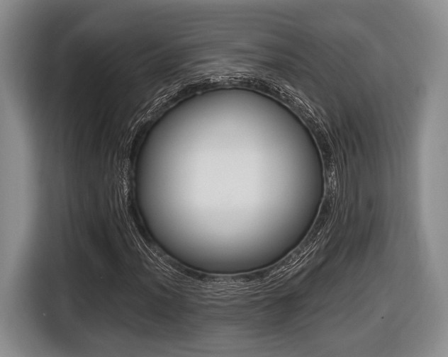 X0000116441012200912081348