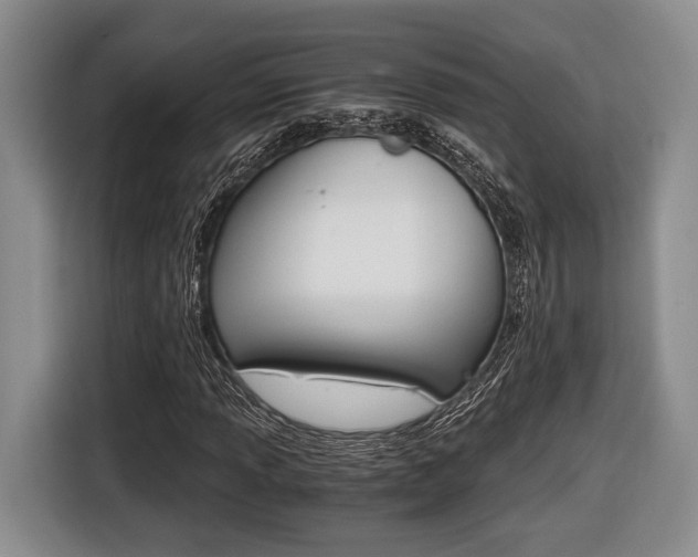 X0000116441013200912081348