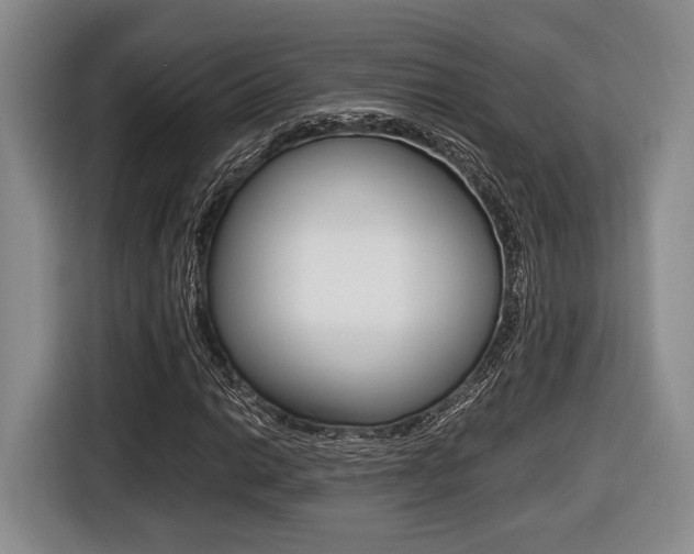 X0000116441014200912081348