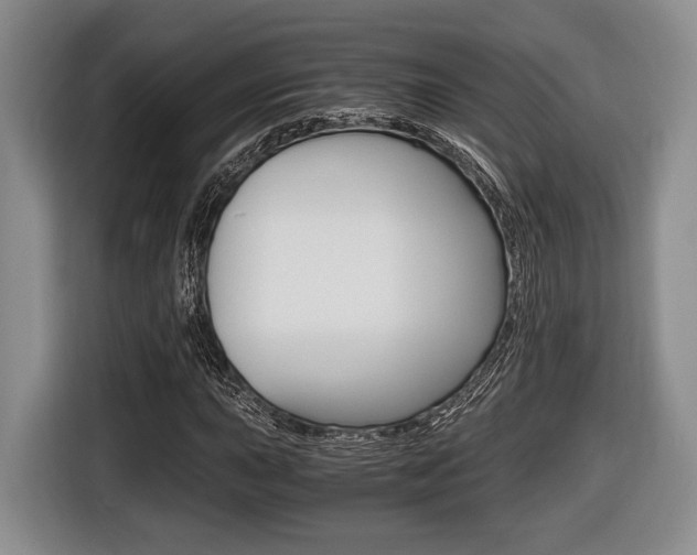 X0000116441015200912081348
