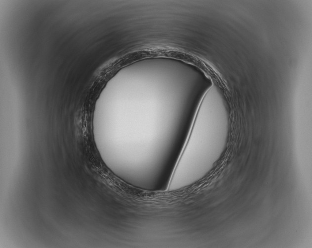 X0000116441016200912081348