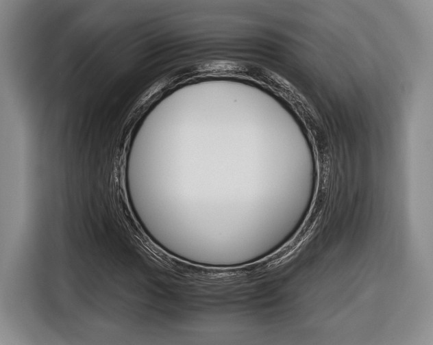 X0000116441017200912081348