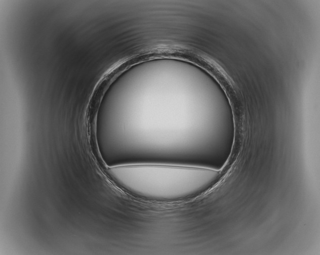 X0000116441018200912081348