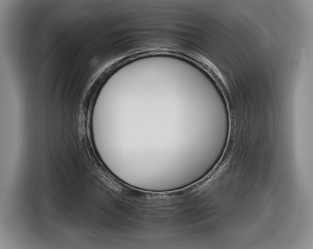 X0000116441019200912081348