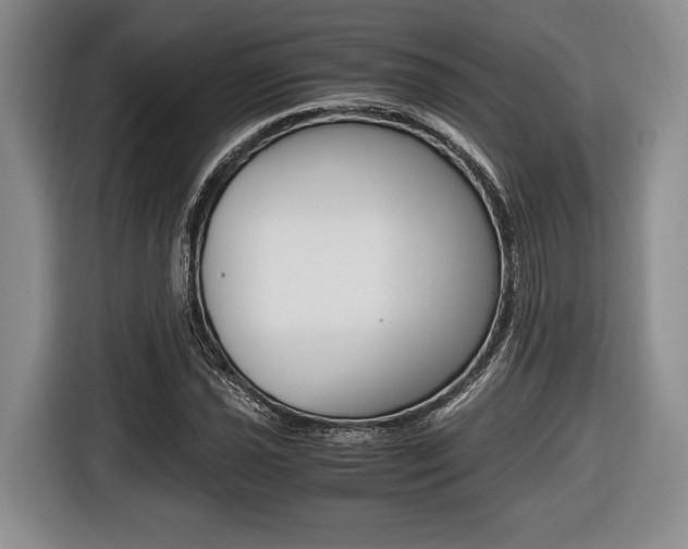 X0000116441021200912081348