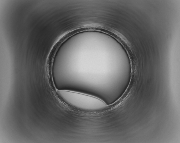 X0000116441022200912081348