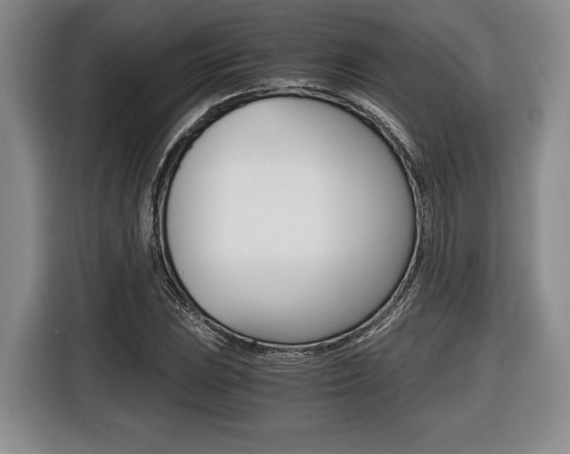 X0000116441023200912081348