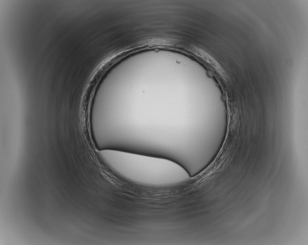 X0000116441027200912081348