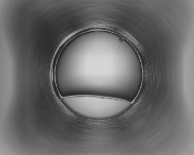 X0000116441028200912081348