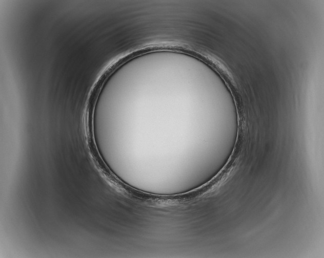 X0000116441030200912081348