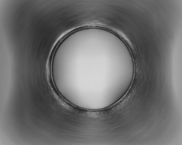 X0000116441032200912081348