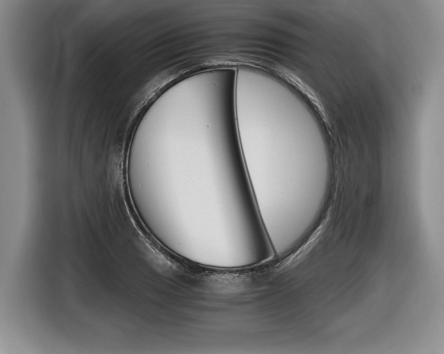 X0000116441033200912081348