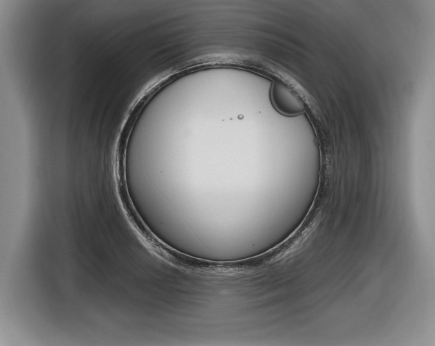 X0000116441034200912081349