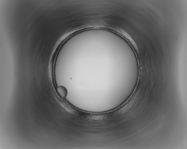 X0000116441035200912081349
