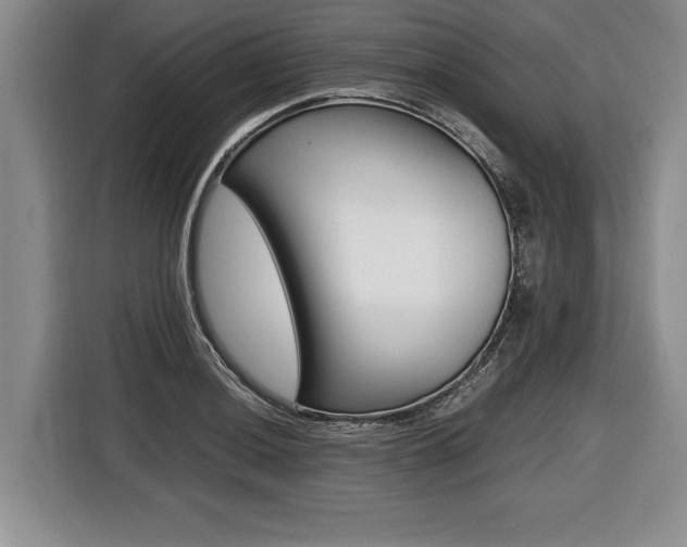 X0000116441036200912081349