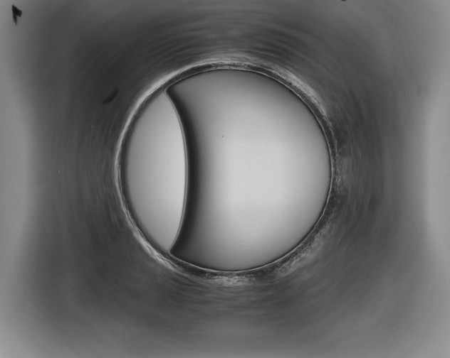 X0000116441037200912081349