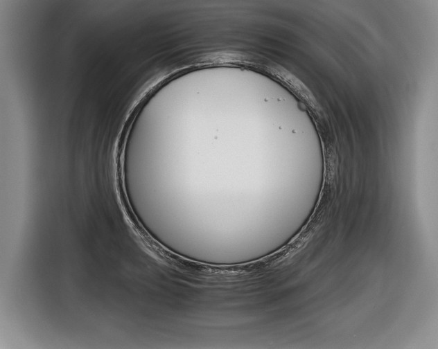X0000116441039200912081349