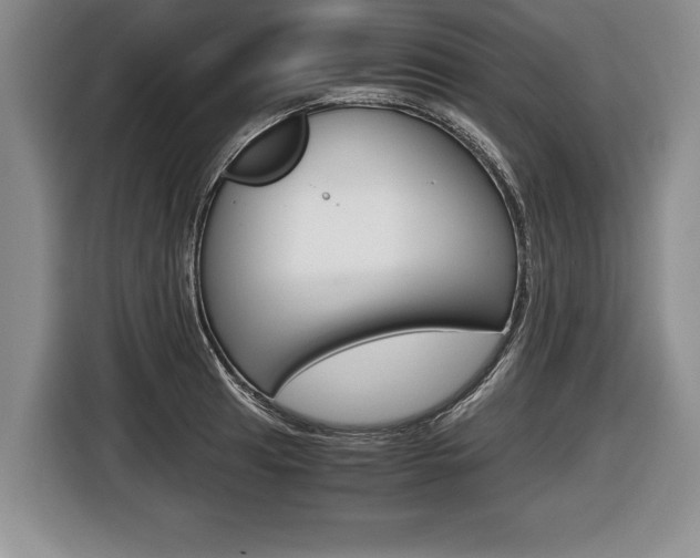 X0000116441041200912081349