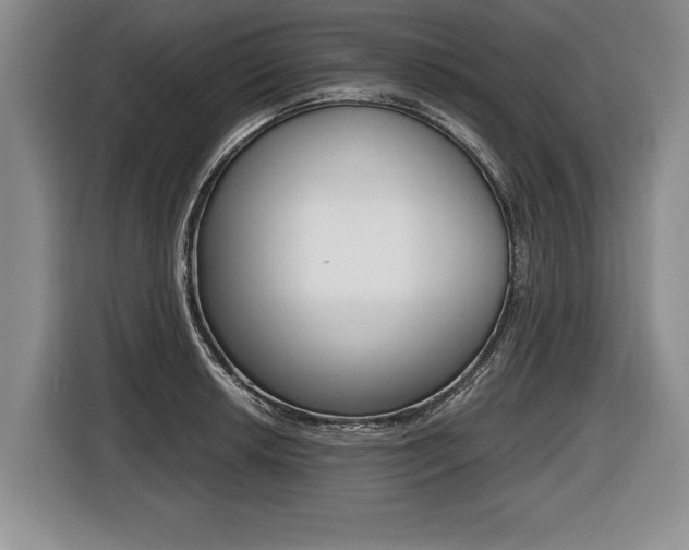 X0000116441042200912081349