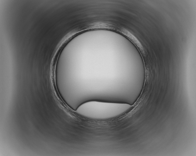 X0000116441043200912081349