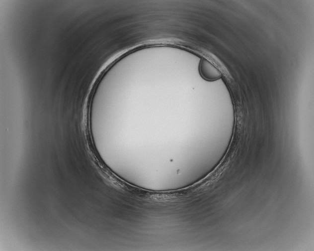 X0000116441044200912081349