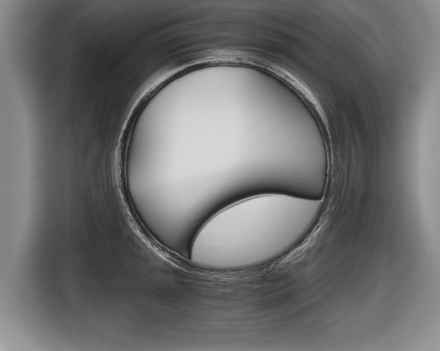 X0000116441045200912081349
