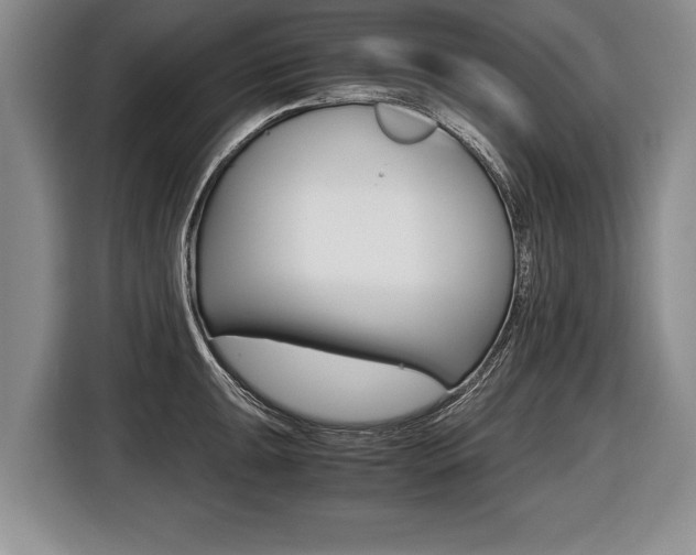 X0000116441047200912081349