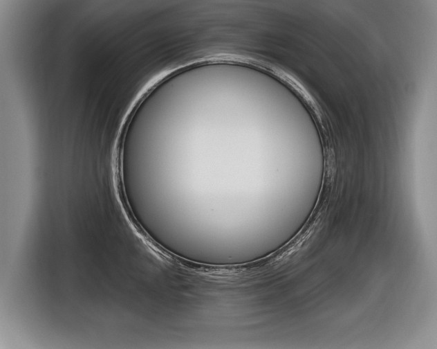 X0000116441048200912081349